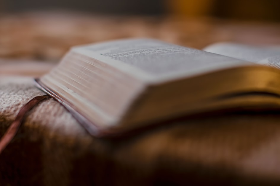 Building Your Author Platform